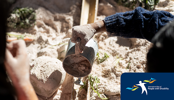 Image with International Day of People with Disability logo.