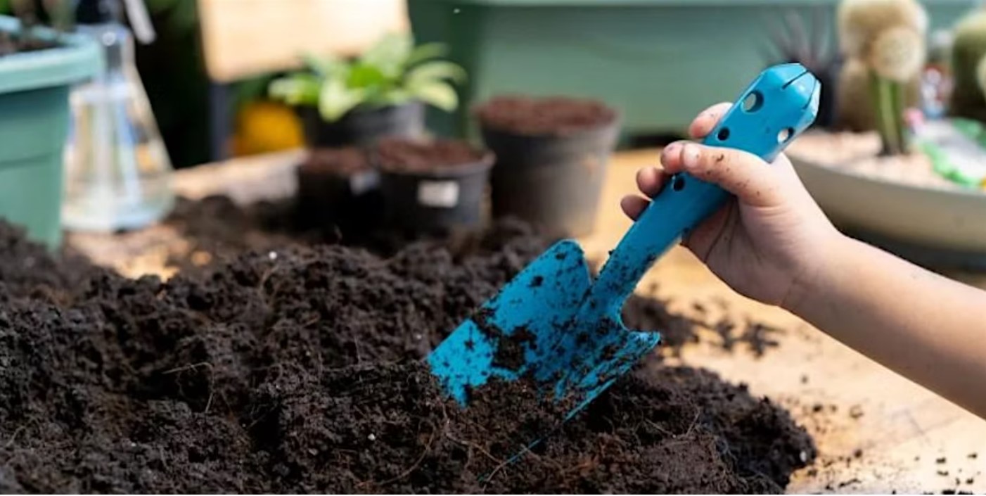 Composting and Growing for Kids