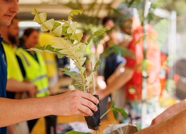 CSV_Nursery_600x432.jpg CSV_Nursery_600x432.jpg