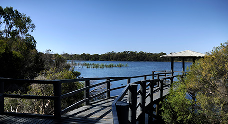 Lake Gwelup Story Trail