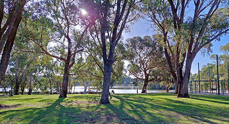 Jackadder Lake Reserve Landscape Plan