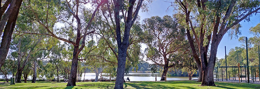 Jackadder Lake Reserve Landscape Plan