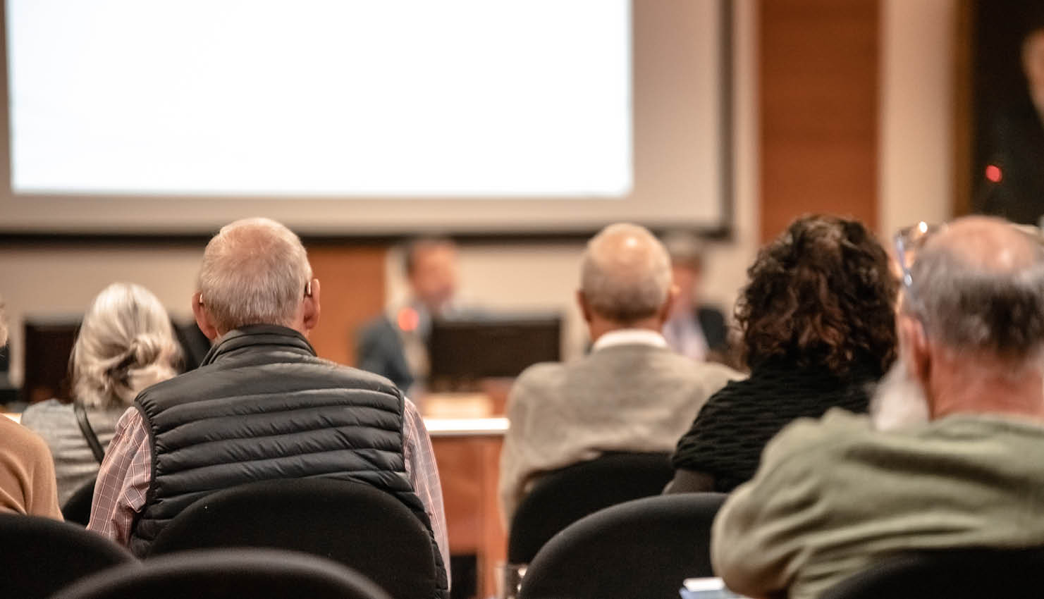 Image of residents at a Council meeting