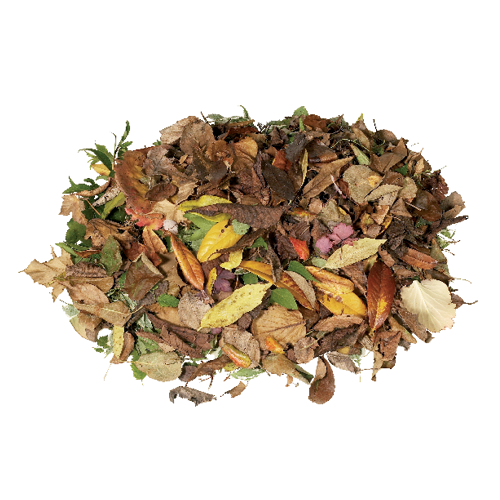 Fallen leaves can go straight into this bin as well.