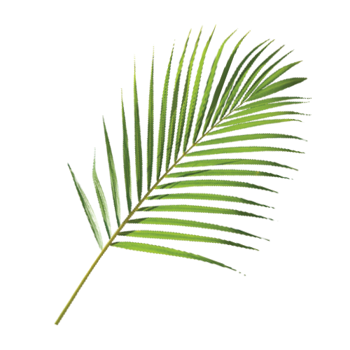 Shrub and plant cuttings are all good to GO in this bin