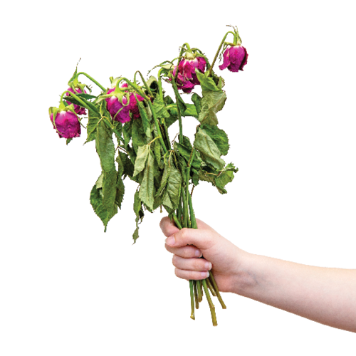 Wilted flowers are also accepted – just drop them in loose