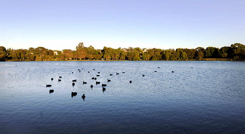 Jackadder Lake Reserve