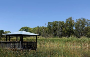 Careniup Reserve