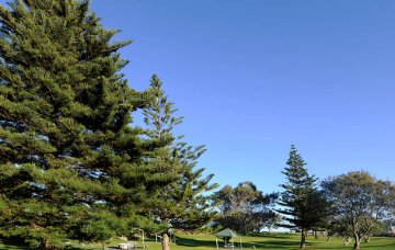 Clarko Reserve