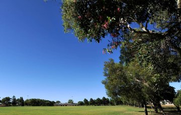 Grindleford Reserve