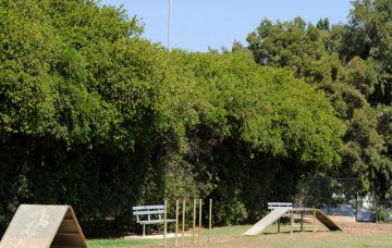 Inglewood Oval