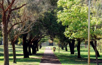 Inglewood Oval