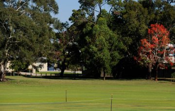 Jones Paskin Reserve