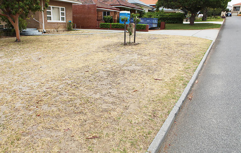 ENG_Non-Retic-Lawn_TI_946x600.jpg ENG_Non-Retic-Lawn_TI_946x600.jpg