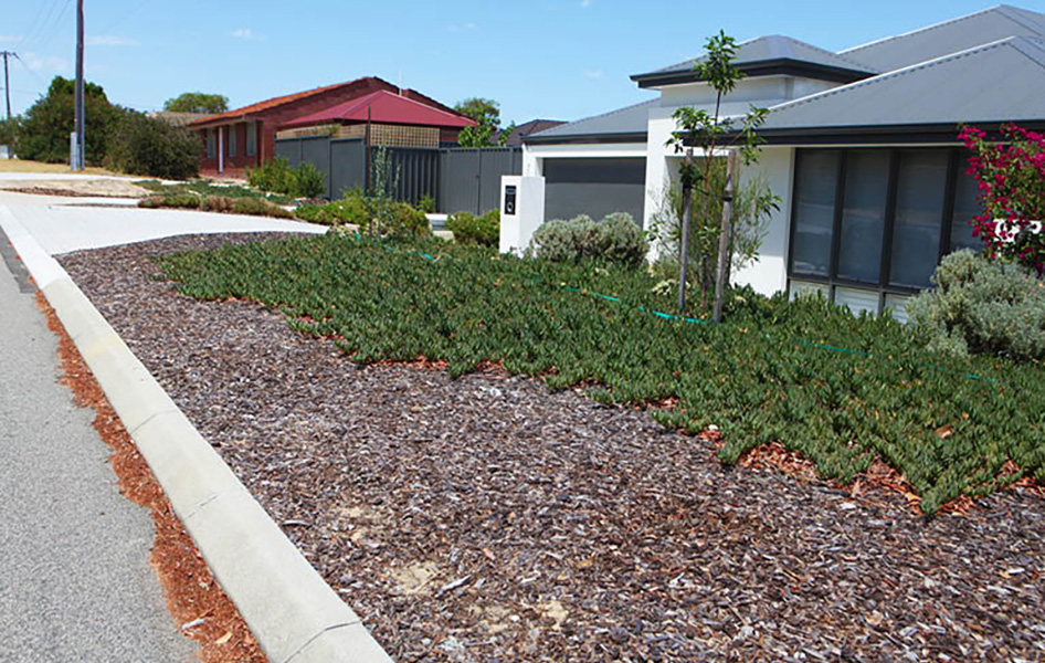 ENG_Mulch-verge_TI_946x600.jpg ENG_Mulch-verge_TI_946x600.jpg